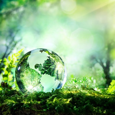 SuperE Fulfillment Consulting Exportwachstum SuperE Fulfillment Consulting Exportwachstum